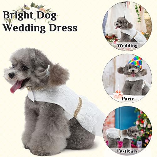 Haljina za vjenčanje u dentrun psu, djevojčica za kućne ljubimce za vjenčanje pse svečano nošenje, mrežića očnjaka za mladenke odjeća