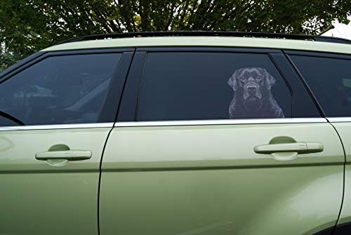 Doggie u prozoru naljepnica automobila i kamiona - crni labrador retriver