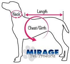 Mirage PET proizvodi Smaragdni zeleni goniči zub Nylon Ovratnik za pse, srednji